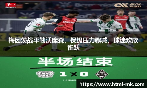 梅因茨战平勒沃库森，保级压力骤减，球迷欢欣雀跃